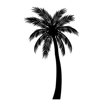 Palm Tree, Summer Palm, Summer Scene, Palm Island, Palm Sunset, Beach Palm, Palm Beach, Tropical Beach, Palm Tree Svg, Palm Tree Cut File, Palm Tree Silhouette, Palm Tree Clipart Printable