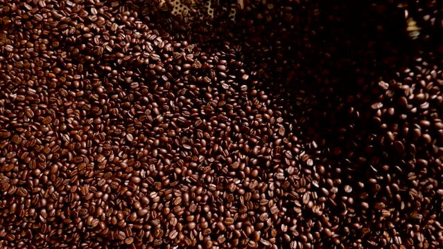 High quality specialty coffee roaster. Slow motion shot.