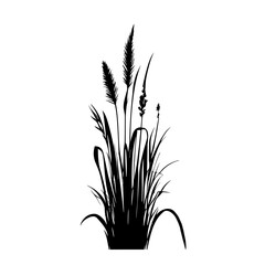 Wild Grass, Grass , Lawn, Botanical Grass, Grass Svg, Grass Clipart, Lawn Svg,  Grass Cut File, Grass silhouette, Grass Vector, Grass Cricut