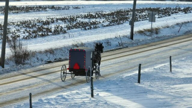 Amish horse and buggy on rural road with snow in winter. Amish country in USA during snow storm.
