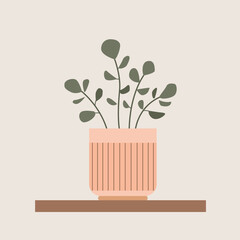 Vector home plant in a pot on a shelf. Simple green branches.