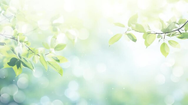 art abstract spring background or summer background. spring background with green leaves. seamless looping overlay 4k virtual video animation background 