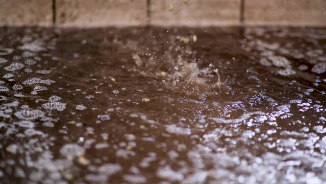 Wash coffee green bean after peeled coffee.