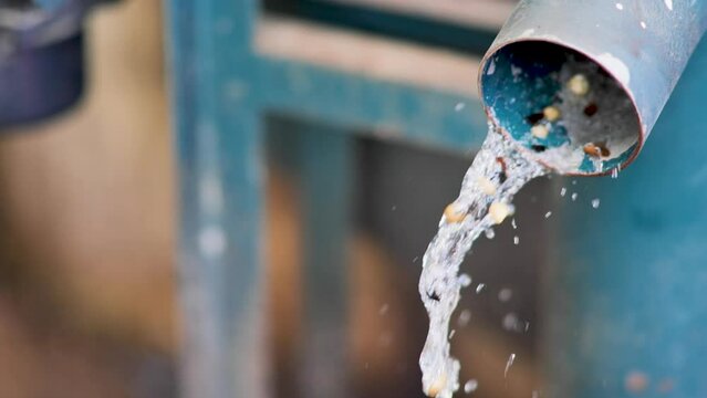 Wash coffee green bean after peeled coffee.