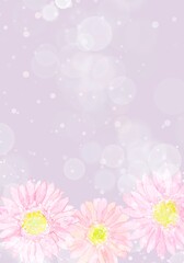 くすみピンク色背景の大人可愛いガーベラフレーム。水彩画を使用した華やかで優しいイラスト。