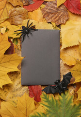 Naklejka na ściany i meble Halloween invitation with decor on fallen autumn leaves