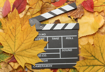 Movie clapperboard on fallen autumn leaves