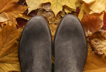 Men's suede boots on autumn leaves. Top view
