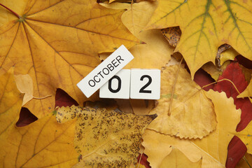 Naklejka na ściany i meble White wooden block Calendar with date October 02 on fallen autumn leaves