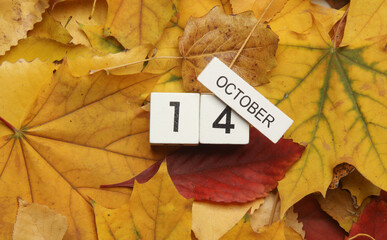 Naklejka na ściany i meble White wooden block Calendar with date October 14 on fallen autumn leaves