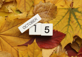 Naklejka na ściany i meble White wooden block Calendar with date October 15 on fallen autumn leaves