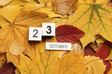 Naklejka na ściany i meble White wooden block Calendar with date October 23 on fallen autumn leaves