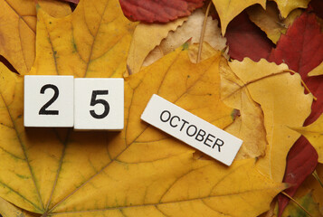 White wooden block Calendar with date October 25 on fallen autumn leaves
