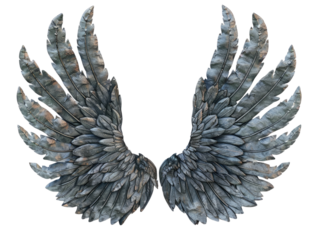Flying wings isolated on transparent background