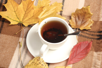 Cup of tea with autumn leaves on a blanket