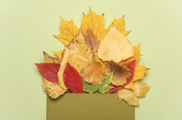 Envelope with autumn leaves on green background