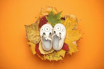 Children's sandals on autumn leaves. Top view