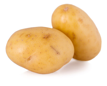 two potato on white background.
