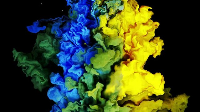 Colorful Ink Particles, Creating a Multicolored Cloud That Sparkles and Shimmers in Slow Motion Against a Dark Backdrop.