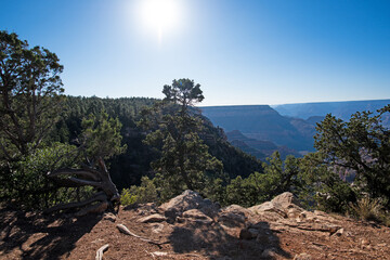 Scenic view of Grand Canyon. Overlook panoramic view National Park in Arizona. Valley view at dusk.
