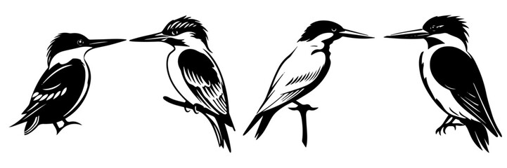Hand drawn vector illustration of a sketch of  bird