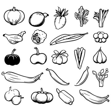 Hand drawn vector illustration of a sketch of vegetables