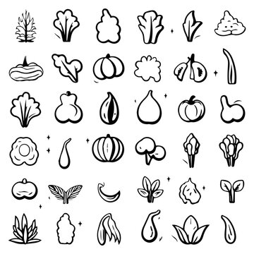 Hand drawn vector illustration of a sketch of fruits and icons