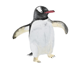 a watercolor painting of Adelie penquin isolated on transparency background ep10