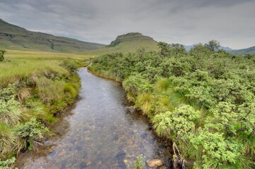 Fototapeta na wymiar HIKING TRAIL in Drakensberg mountains, kwazulu natal, south africa