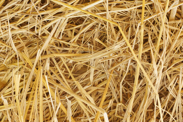 Dry straw texture for background and design art work, bales of cereal straw for cow and horse.