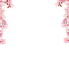 Decoration Pink cherry blossom flowers png background 