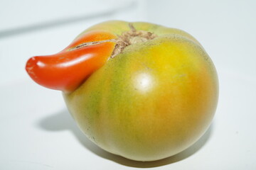 A red and yellow tomato with an unusual shape.