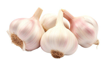 Aromatic Garlic on white background