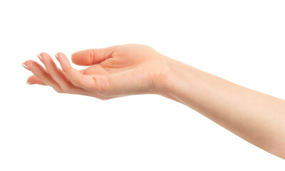 Female open empty hand isolated on white background