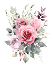 Watercolor illustration of pink roses flowers on white background 