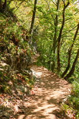 Fototapeta premium Plitvice Lakes National Park, Croatia