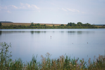 Beautiful rural landscape with a heron fishing in a etangs