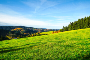 Fototapeta na wymiar Autumnal landscape near Furtwangen in the Black Forest. Nature with forests and hills. 