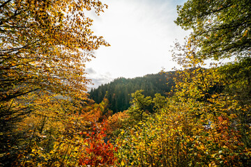 Autumnal landscape near Hornberg in the Black Forest. Nature with forests and hills.
