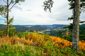 Fototapeta premium Autumn landscape in the Black Forest. Nature with forests and hills. 