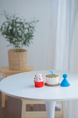 cat care concept with cake and food with birthday anniversary