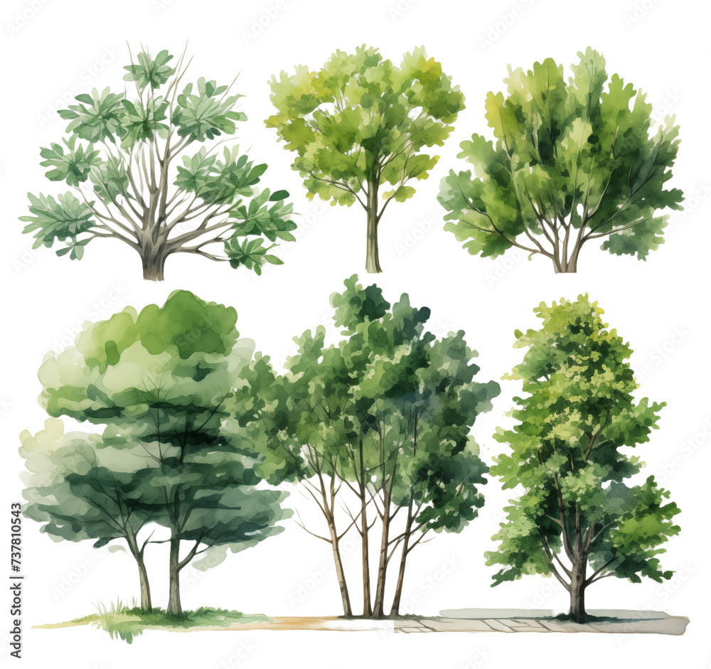 Sticker set of trees isolated on white