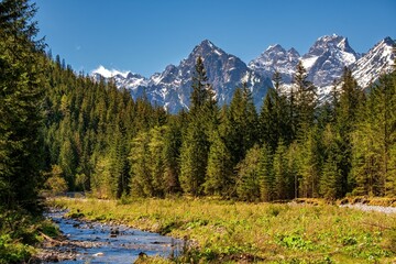 Mountain valley with a stream, forest and peaks in the background. Bielovodska valley in High Tatras mountains at lovely morning,Slovakia © Ivan