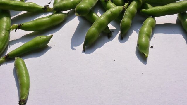 Vicia faba vegetable. Its other names&nbsp;broad bean,&nbsp;fava bean, or&nbsp;faba bean. It  is a species of&nbsp;vetch. This a flowering plant in the&nbsp;pea&nbsp;and&nbsp;bean&nbsp;family&nbsp;Fabaceae.