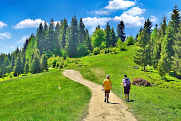 Two tourists walk along the hiking trail on a sunny summer day,  Gorce mountains, Poland