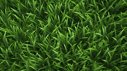 Close-up of green grass, the unknown beauty of grass and flowers