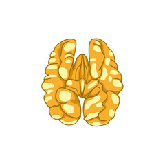 クルミ（食べ物）