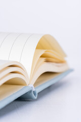 Open lined notebook, low angle with blurred background