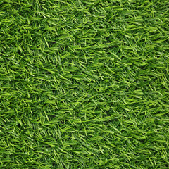 Fresh green grass as background outdoors, top view