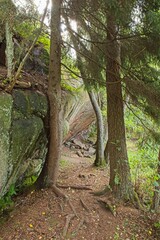 Rock formation with trees in forest in autumn.